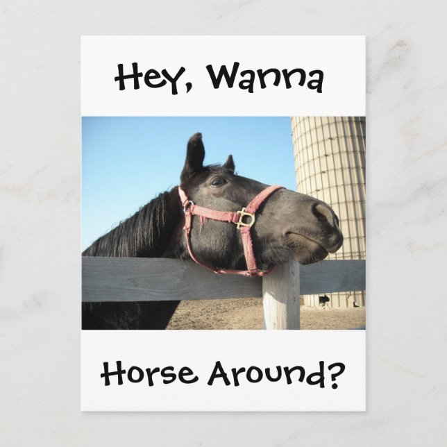Carte Postale Faire du cheval autour (Devant)