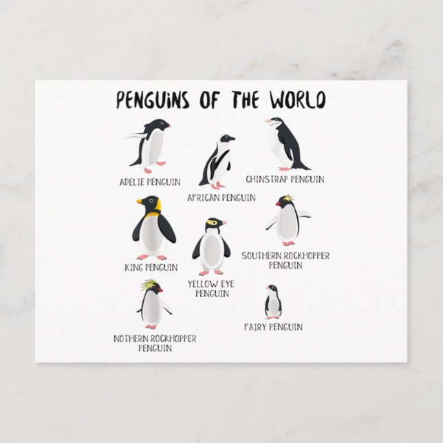Carte Postale Faire-part 8 Rares pingouins du monde - Animaux amusants (Devant)