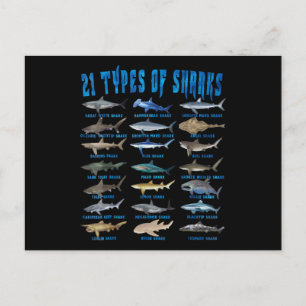Carte Postale Faire-part Amateurs De Requins 21 Types De Requins Animaux Oc