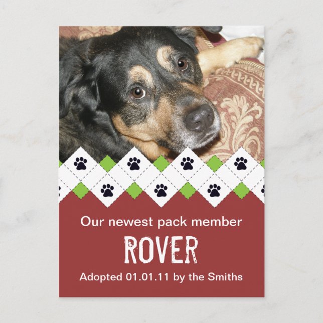 Carte Postale Faire-part Annonce d'adoption de chien/chiot (Devant)