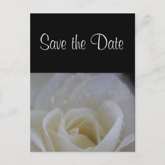 Carte Postale Faire-part Annonce de mariage à la rose ange save the date