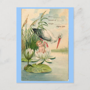 Carte Postale Faire-part Annonce de naissance vintage - Cigogne, nénuphar, 