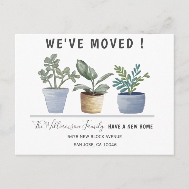 Carte Postale Faire-part Annonce de plantes en pot modernes que nous avons  (Devant)