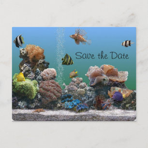 Carte Postale Faire-part aquarium Enregistrer la date