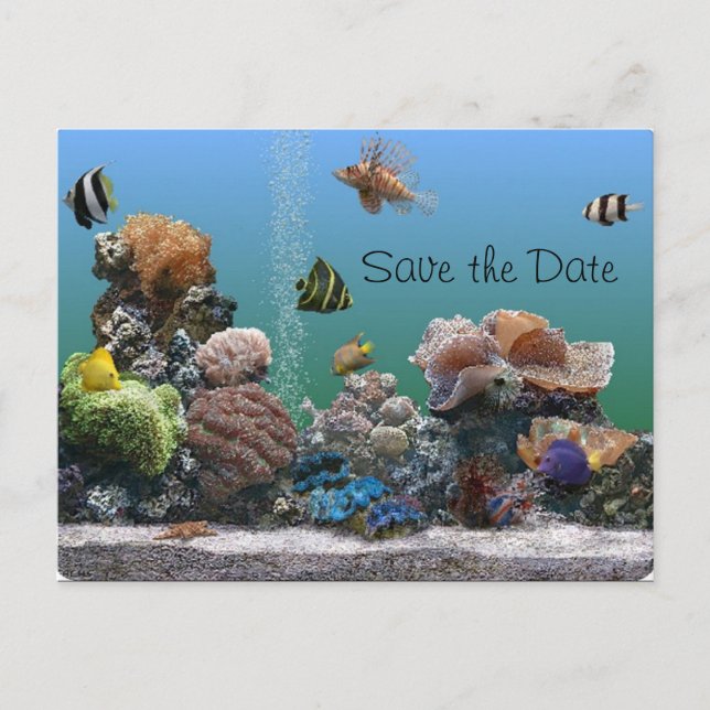 Carte Postale Faire-part aquarium Enregistrer la date (Devant)