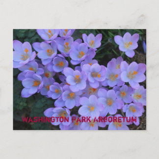 Carte Postale Faire-part Arboretum du Washington Park
