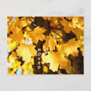 Carte Postale Faire-part Automne mobile déplacé d'adresse de coutume de