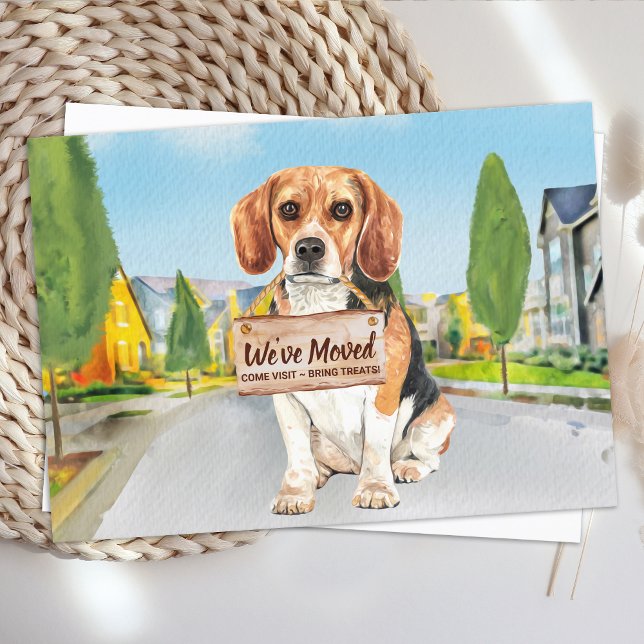 Carte Postale Faire-part Beagle Nous avons déplacé une nouvelle adresse mig (Créateur téléchargé)