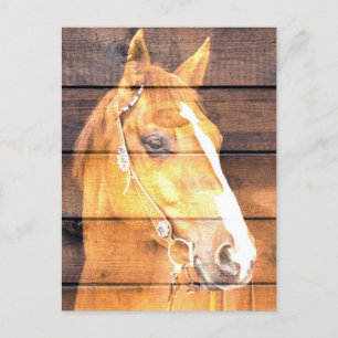 Carte Postale Faire-part Belle Planche de Grange Rustique de Cheval