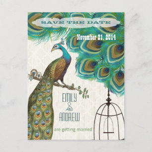 Carte Postale Faire-part Bois treillis Peacock Birdcage Enregistrer la date