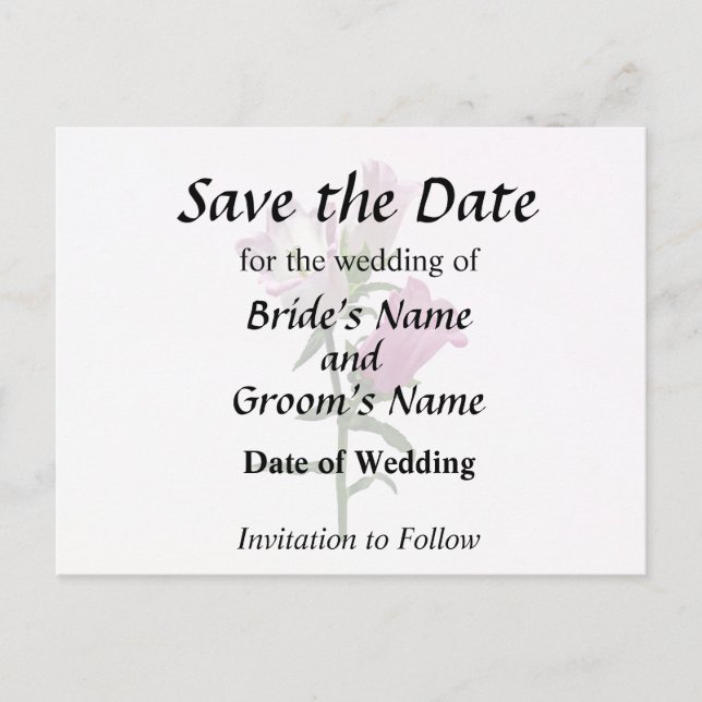 Carte Postale Faire-part Campanules roses de Cantorbéry (Devant)