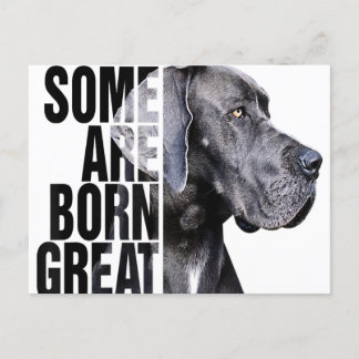 Carte Postale Faire-part Certains naissent Amoureux de Grand Danois Cadeau 
