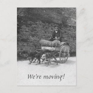 Carte Postale Faire-part Chariot de chien avec le déplacement barbu d'homme