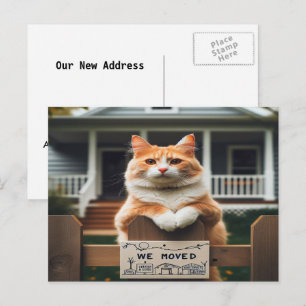 Carte Postale Faire-part Chat à tom orange et blanc que nous avons déplacé