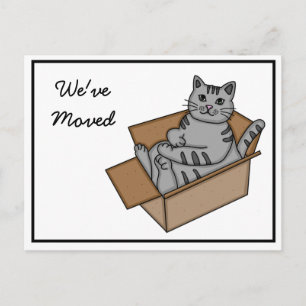 Carte Postale Faire-part Chat dans une boîte "We're Moving" Nouvelle adress