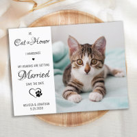 Chat d'honneur Photo de mariage d'animaux Enregist