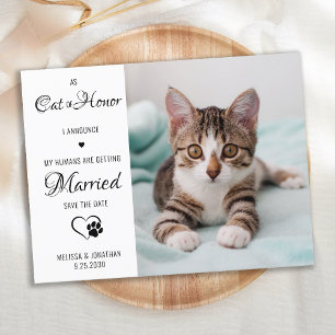 Carte Postale Faire-part Chat d'honneur Photo de mariage d'animaux Enregist