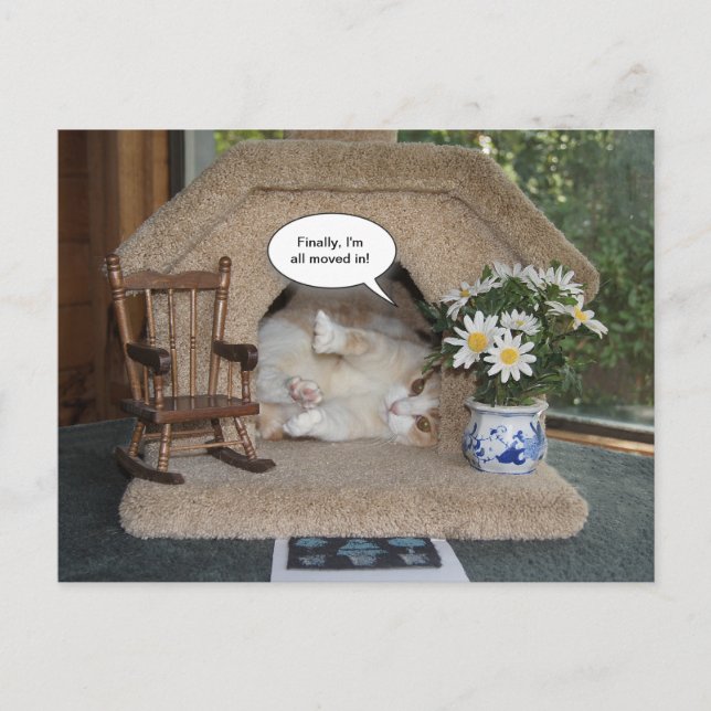Carte Postale Faire-part Chat Drôle Nouvelle Adresse Déménagé (Devant)