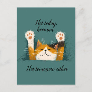 Carte Postale Faire-part Chat mignon drôle qui fait la sieste