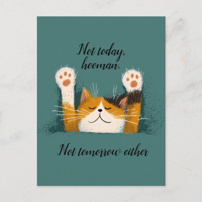 Carte Postale Faire-part Chat mignon drôle qui fait la sieste (Devant)