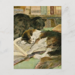Carte Postale Faire-part Chats en luffy dorés Vintages