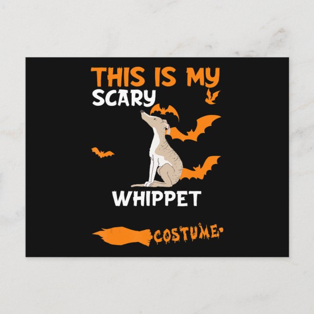 Carte Postale Faire-part Chemise Whippet Costume Halloween Paresseux Chien  (Devant)