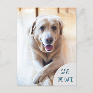 Carte Postale Faire-part Chien Annonçant Enregistrer La Date Photo Mariage