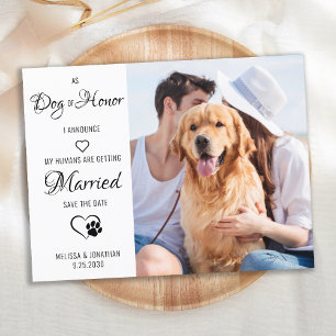 Carte Postale Faire-part Chien D'Honneur Animaux Mariages Photo Enregistrer