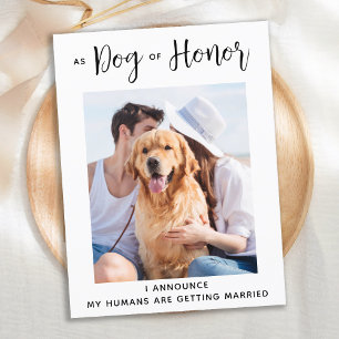 Carte Postale Faire-part Chien d'honneur Mariage de chien Enregistrer la da