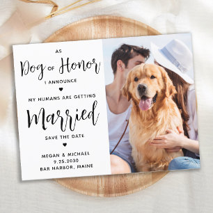 Carte Postale Faire-part Chien D'Honneur Mariage De Chien Enregistrer La Da