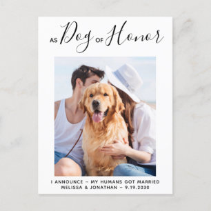 Carte Postale Faire-part Chien d'honneur vient de marier Chien Mariage