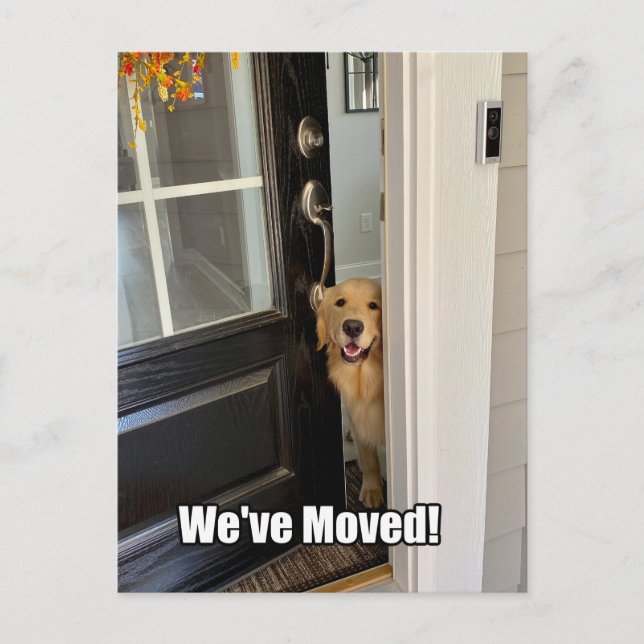 Carte Postale Faire-part Chien Retriever Doré Nous Avons Déménagé Changemen (Devant)