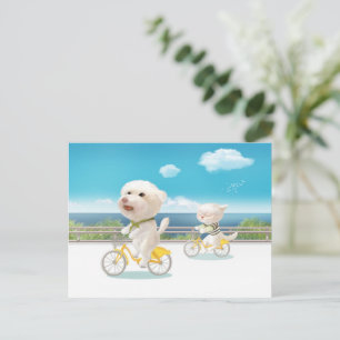 Carte Postale Faire-part Cyclisme au bord de la mer : Bichon souriant et Ba