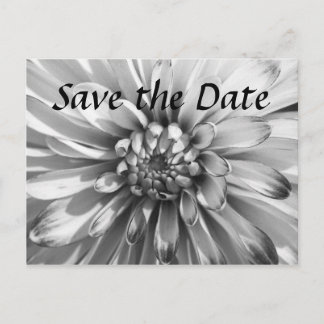 Carte Postale Faire-part dahlia Enregistrer la date