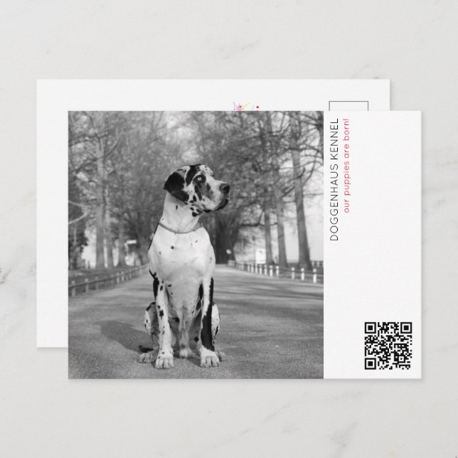 Carte Postale Faire-part de chiot (Devant / Derrière)