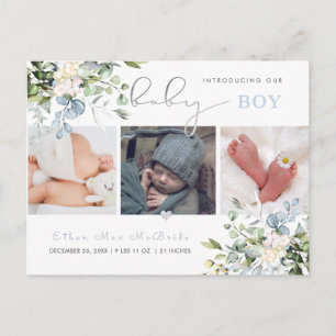Carte Postale Faire-part de naissance Eucalyptus Bleu Poussiéreu