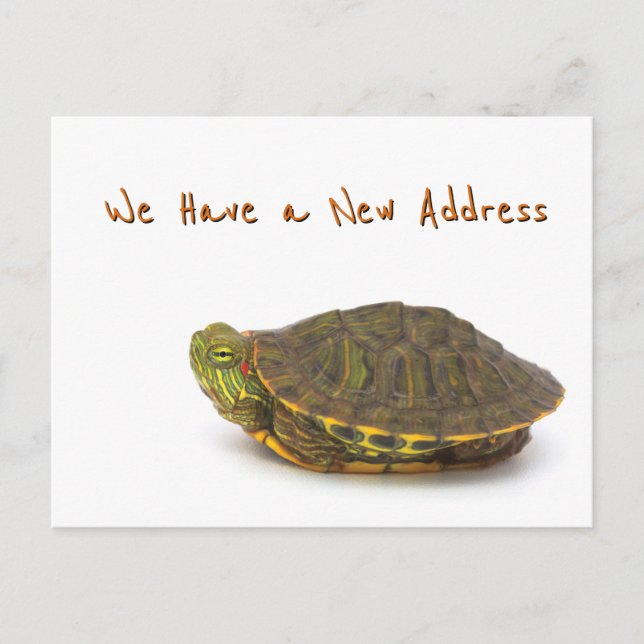 Carte Postale Faire-part Déplacement (Devant)