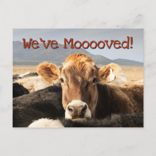 Carte Postale Faire-part Déplacement