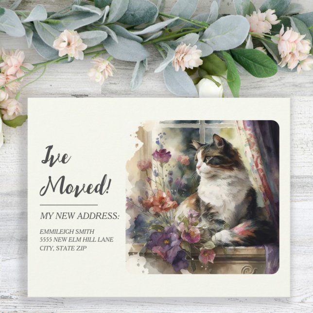 Carte Postale Faire-part Déplacement Fenêtre de chat Fleurs viol (Créateur téléchargé)