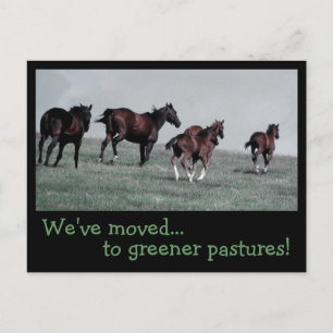 Carte Postale Faire-part Des pâturages plus verts…