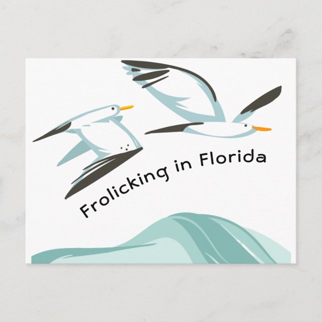 Carte Postale Faire-part Deux goélands s'ébattant en Floride Nouvelle Adres (Devant)