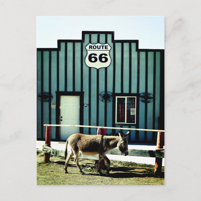 Carte Postale Faire-part Donkey Town Oatman Arizona (Devant)