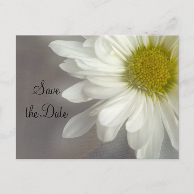 Carte Postale Faire-part Doux Blancs sur Mariage Gris Enregistrer la Date (Devant)