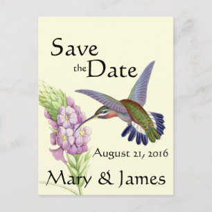 Carte Postale Faire-part Économies florales de fleur d'oiseau de colibri la
