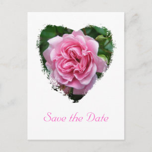 Carte Postale Faire-part Éléments de coordination Rose Escalade