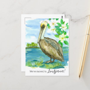 Carte Postale Faire-part en mouvement Louisiane Pelican Magnolia