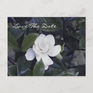 Carte Postale Faire-part Enchanting Gardenia Save The Date Postcard