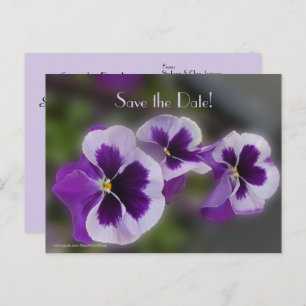 Carte Postale Faire-part Enregistrer la date 80e fête d'anniversaire Purple