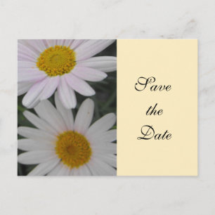 Carte Postale Faire-part enregistrer la date, fleur marguerite