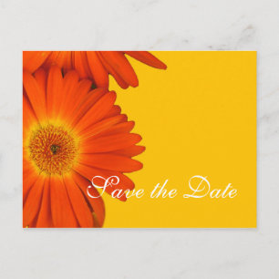 Carte Postale Faire-part enregistrer la date, fleurs de marguerite gerbera